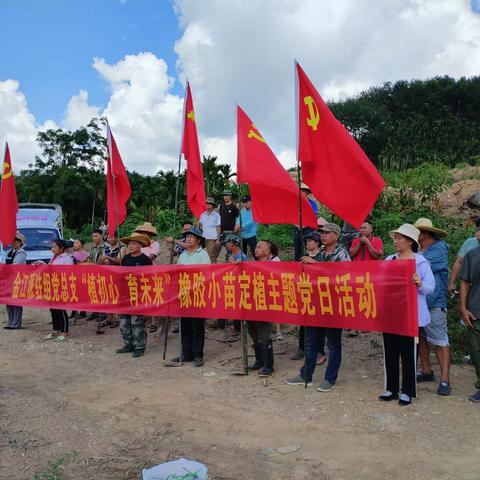 “植初心  育未来”——海胶集团金江分公司金江派驻组党总支开展橡胶小苗定植主题党日活动