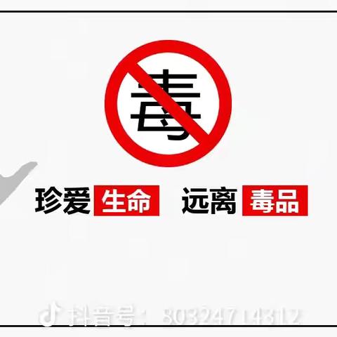 万宁市第三中学第四周国旗下发言——青春不“毒”行，共筑无毒校园