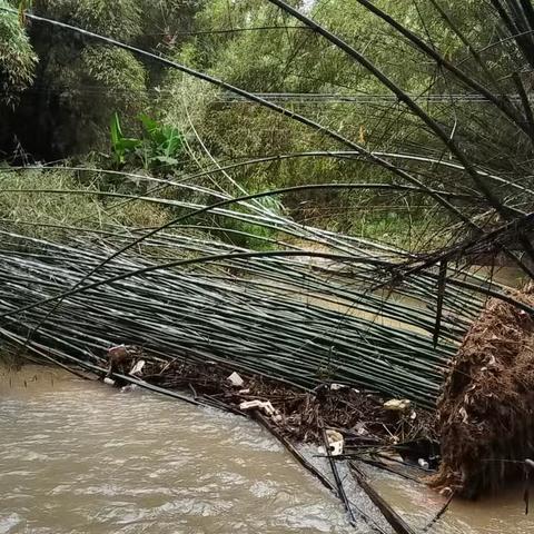 雪品环卫清障去淤，畅通河道