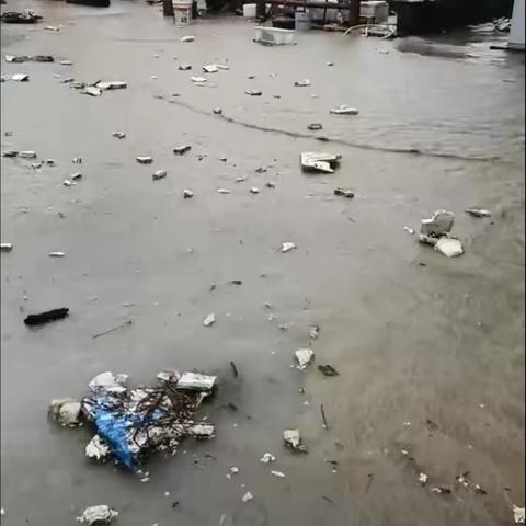 风雨过后见彩虹：永定雪品环卫的坚守与担当