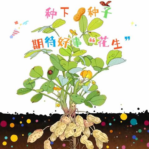 《妙趣如“花”，“生”活如画》 ——记中二班种植花生活动