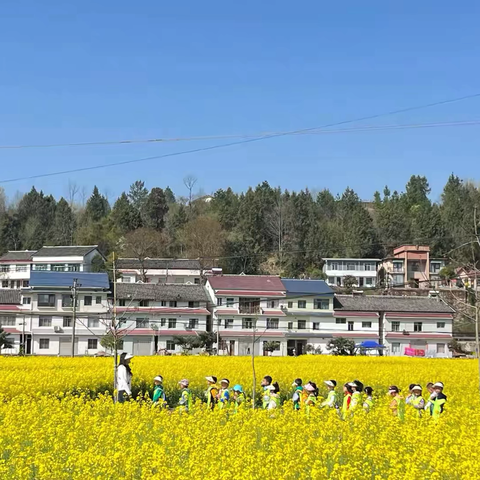 中子实验学校附属幼儿园——2025年春招生简章🥳