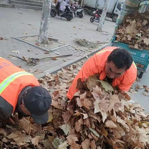 雨雪天气将至，环卫工清理落叶忙