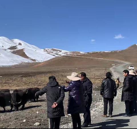 མཐོ་སྒང་ནོར་ནག།