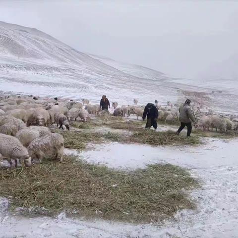 གསར་འགྱུར་མདོར་བསྡུས།