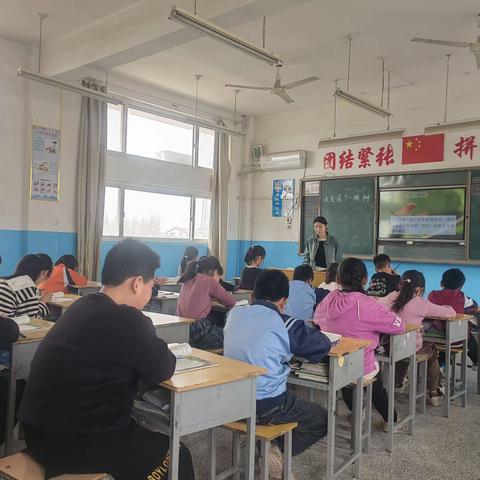 走进《我变成了一棵树》——高庄学区中心小学三年级语文教研活动