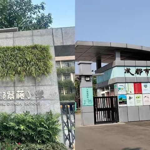 行天府课堂教学路   掬智慧教研之芬芳——记2023年新罗区专、兼职教研员教研能力提升研修第三天（下午）