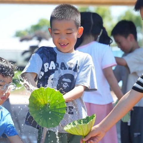 夏花灿烂 不负时光 ——奚宇辰的暑期生活记录