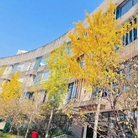 预防流感守护健康—记金桥小学2306 班