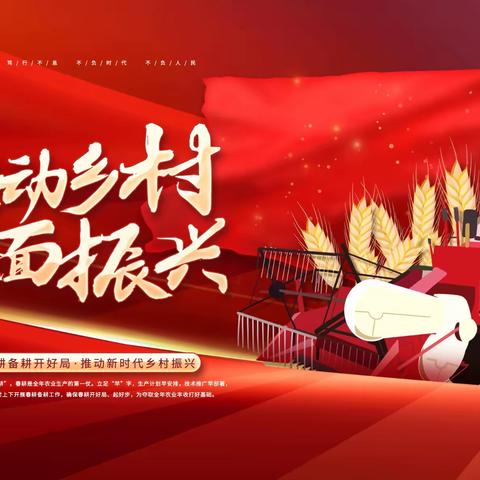 拔里村开展“第32个国际残疾人日”主题活动