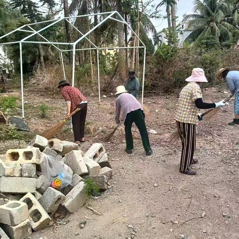 博后村开展地毯式人居环境卫生整治活动