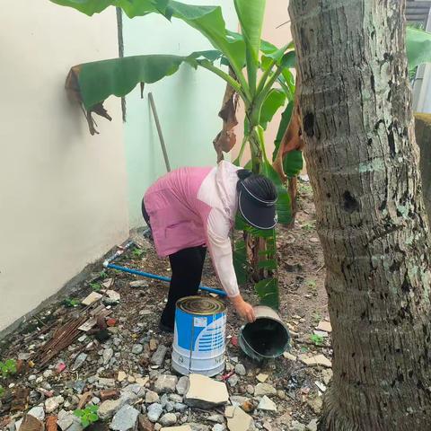 博后村开展“清洁家园防蚊灭蚊”