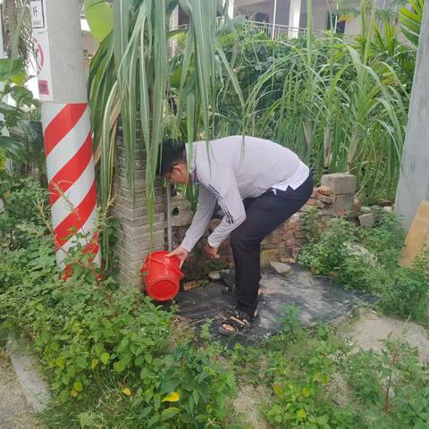 博后村开展以“九清”为主大扫除