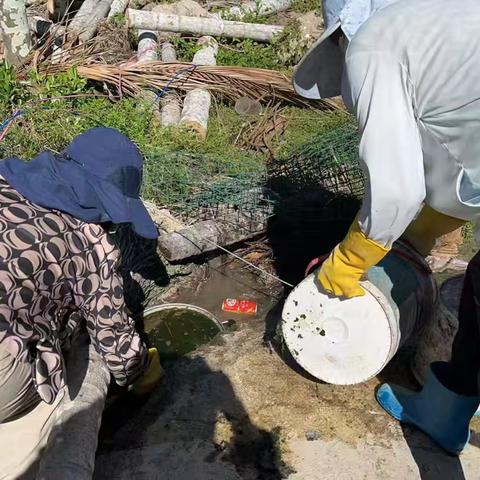 （9月12日）博后村开展爱国卫生运动