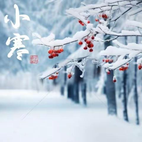 “小寒年近，吉享团圆”——信阳市平桥区第五小学小寒节气主题实践活动