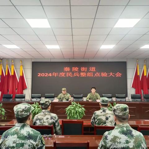 “点”出士气，“验”出担当——秦陵街道召开民兵点验大会
