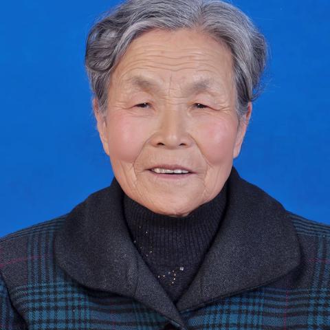 怀念母亲 --- 母亲大人逝世周年祭文