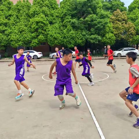 2025年杨林镇第一届中小学篮球运动会圆满落幕 兰茂一小男女队斩获佳绩