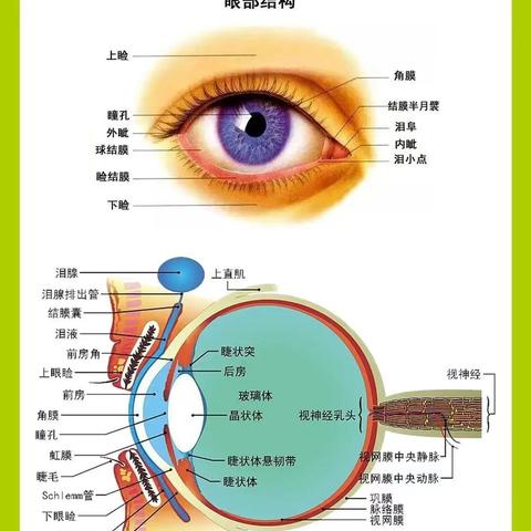 “呵护眼睛，从小做起”——交口河镇中心幼儿园近视防控宣传月知识宣传