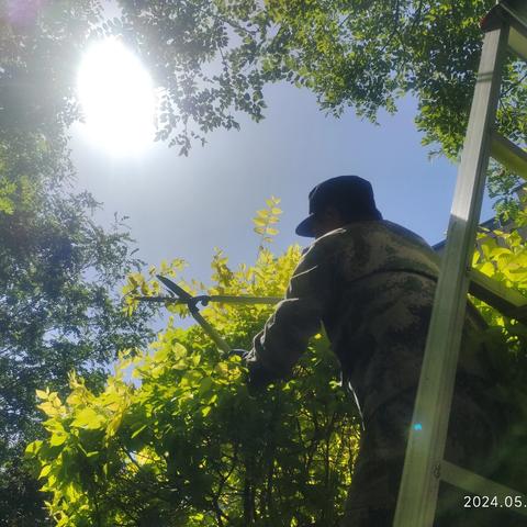 金宇名庭项目部六月工作简报