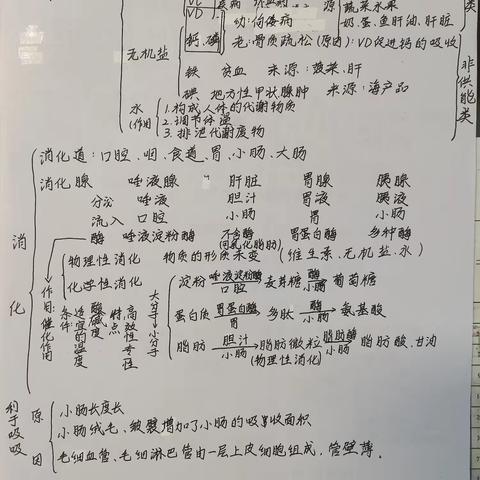 国庆优秀生物作业展播（二）