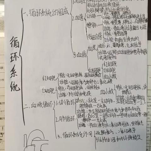 国庆优秀生物作业展播（一）