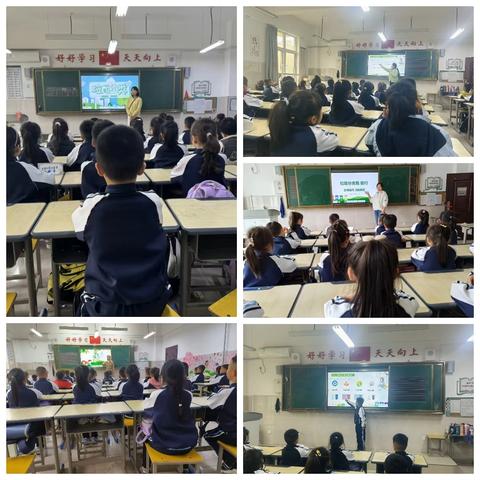 垃圾分类 从我做起——望岳小学开展垃圾分类活动