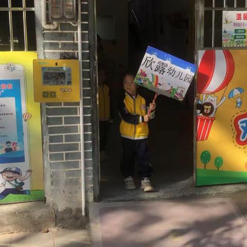 欣露幼儿园户外“树叶🍂搭帐篷，￼￼活动