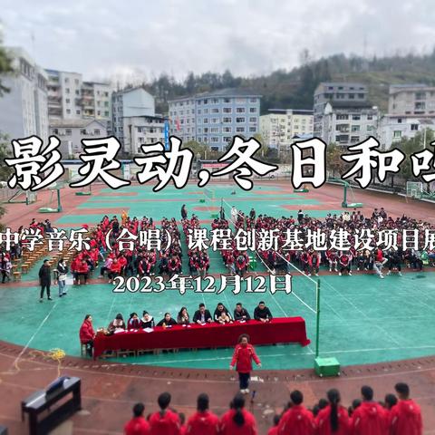 雁影灵动，冬日合鸣