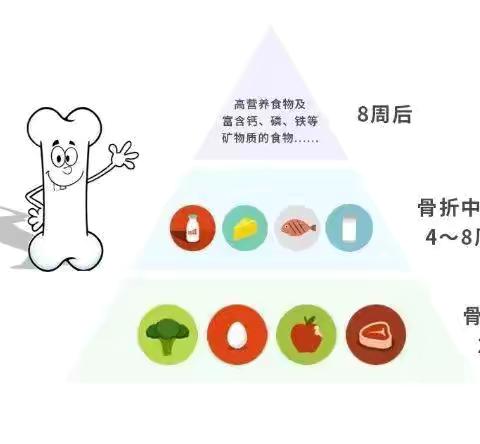 骨伤一科——-骨折病人的饮食调养