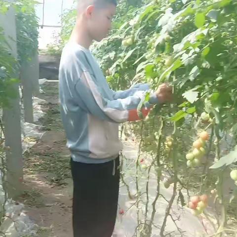 全环境立德树人 | | 7.8五一劳动最光荣