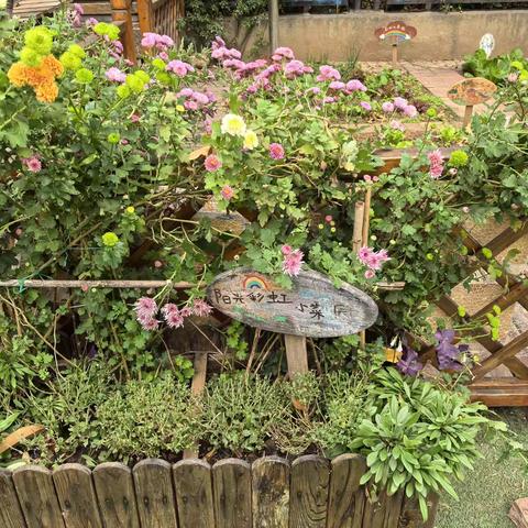 南京实验科睿园区种植区