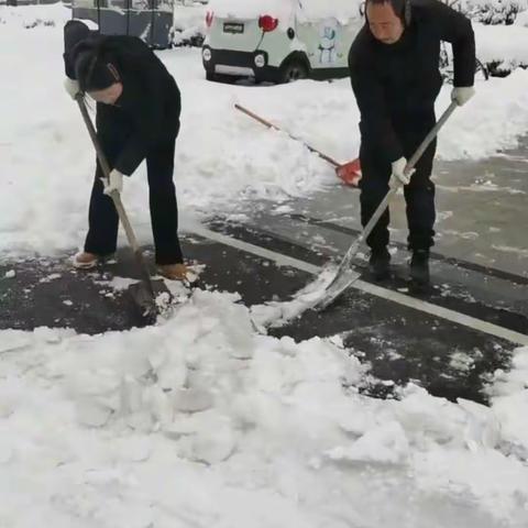 凤阳县中置物业公司在（钱经理）的组织号召下开展小区扫雪活动