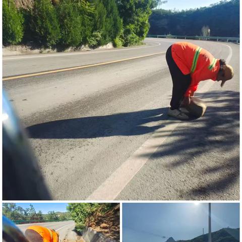 邢左养护中心工作日志2025年9月24日