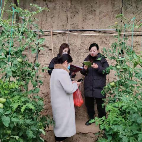 绘就“十五五”农产品质量新图景