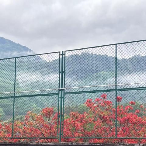 “行远自迩 笃行不怠”———泗南江镇小学教学常规检查工作