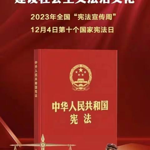 弘扬宪法精神  争做守法青年