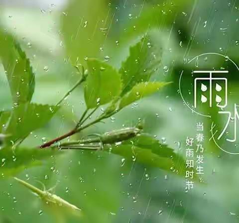 “春雨如酥，万物滋长”——大同市教育局直属幼儿园二十四节气之雨水