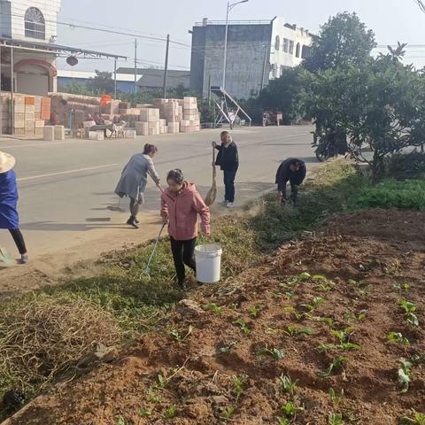 缔造梦里人家，助力橙乡桂花