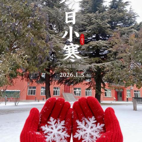 小寒至，暖阳生