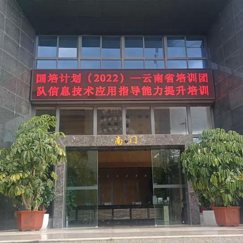 学思践悟促成长，蓄力赋能共提升