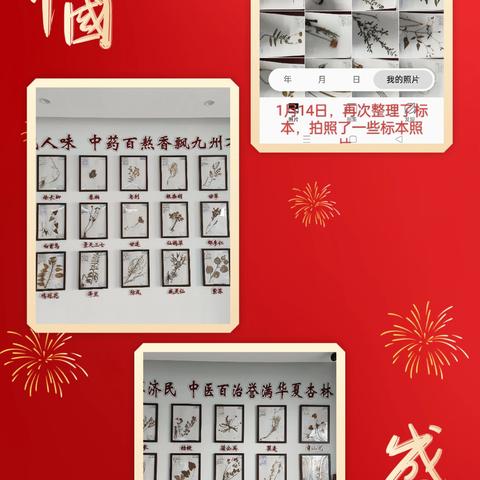 2024年手机相册精选