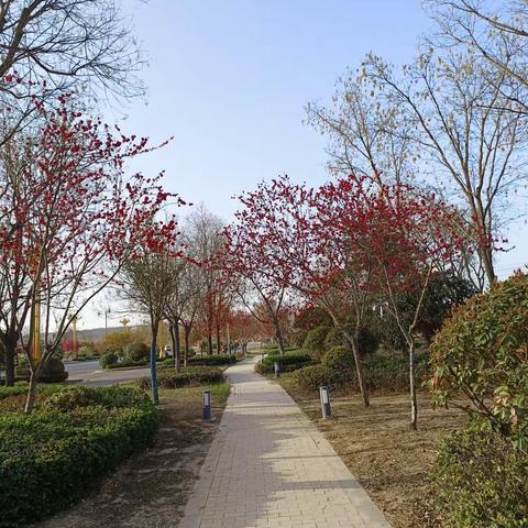 再好的相机留不住春天，也留不住花