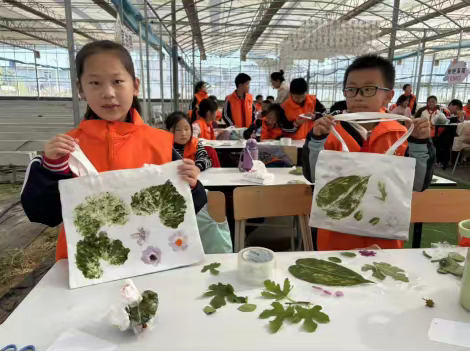 【吾家研学】“果”然有趣 这个秋天，来吴家堡开启无花果探秘之旅