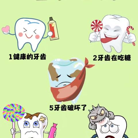 有趣的幼儿园生活之美好的一周