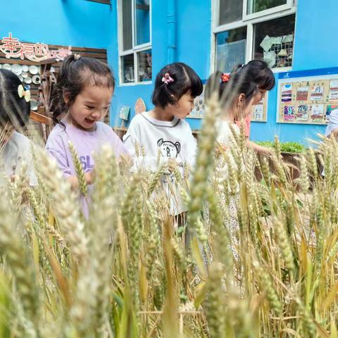 夏天到 —苗一班