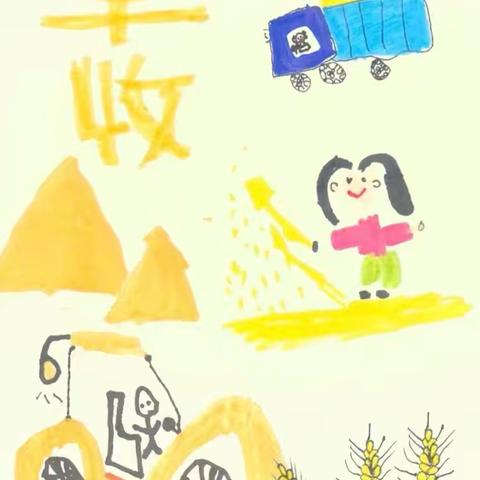 花一班小麦种植记