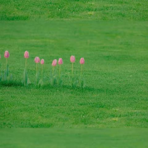 三门峡新时代精英学校二（2）班第十三周周报  ——向上走