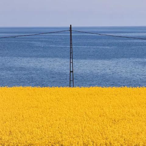 三门峡新时代精英学校二（2）班第十七周周报——都好