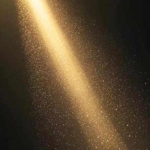 三门峡新时代精英学校三（2）班第十三周周报——不虚此行